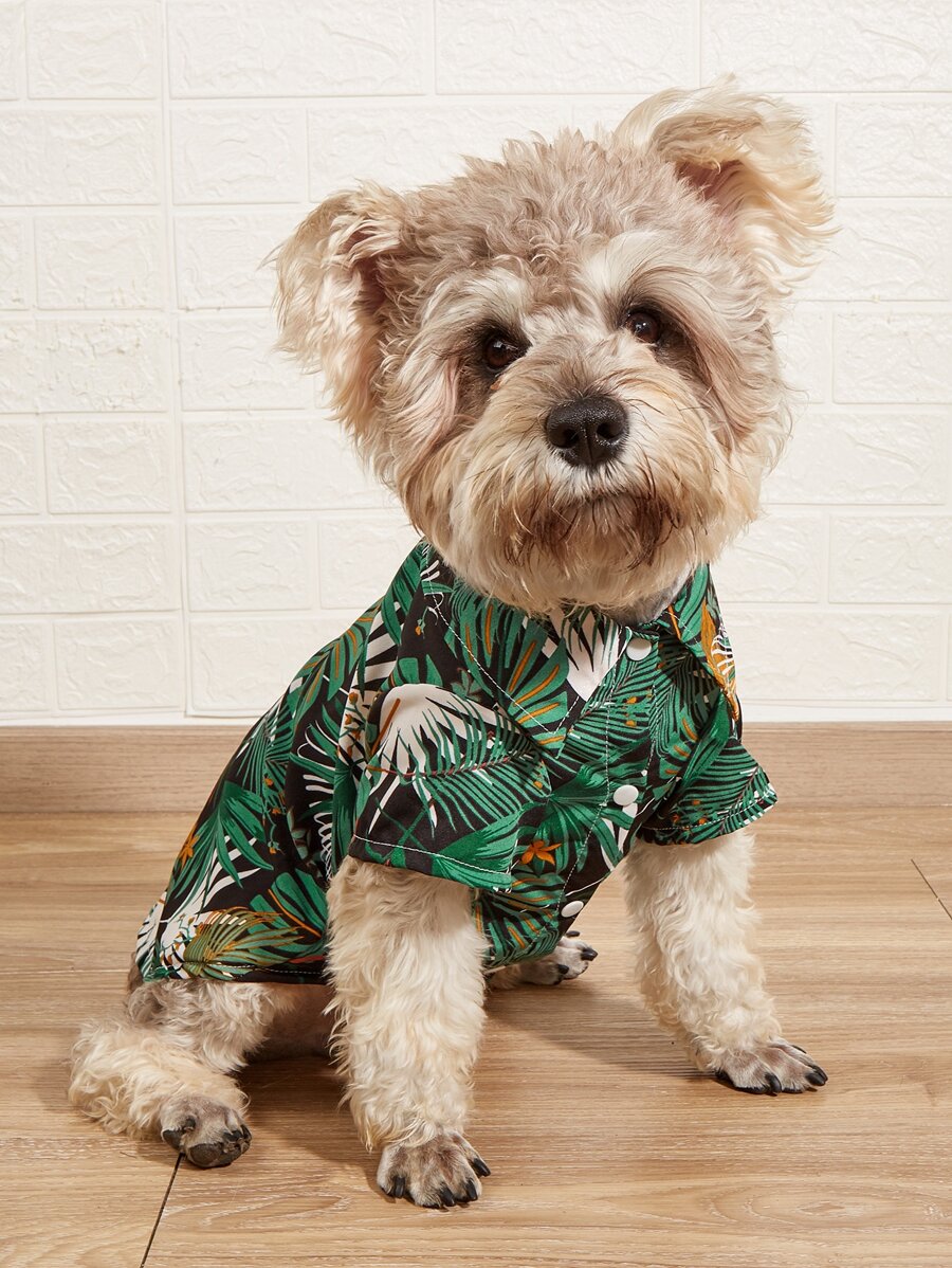 Palm Leaf Print Pet Shirt