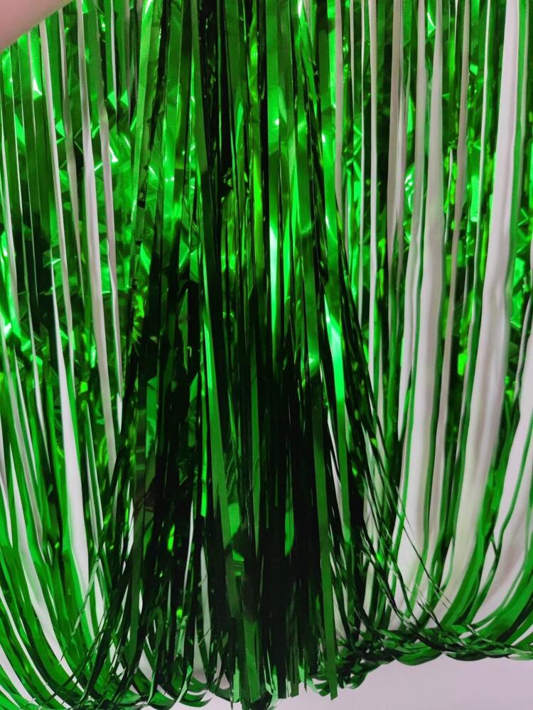 1pc Green Rain Curtain, Party Decoration Background, Graduation Decorations, Tassels, Birthday, Wedding, Single Women Anniversary Decor, Adult Rain Silk Curtains, Birthday Party Wall Decor, Tassel Metallic Film Wall Curtain
