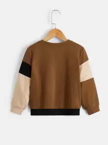 SHEIN Leap Crew Toddler Boys Colour Block Pullover - Multicolor - View 2