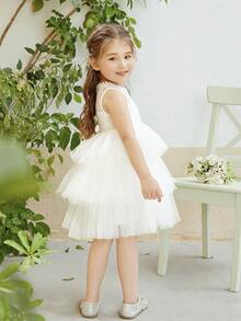 Toddler Girls Lace Insert Layered Mesh Dress - White - View 2