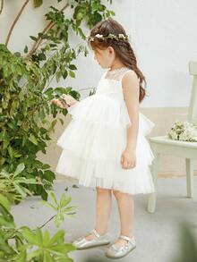 Toddler Girls Lace Insert Layered Mesh Dress - White - View 5