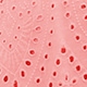 Coral Pink