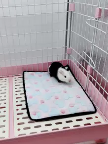 Alfombra para mascota con estampado de corazón pequeño - Multicolor - Ver 1