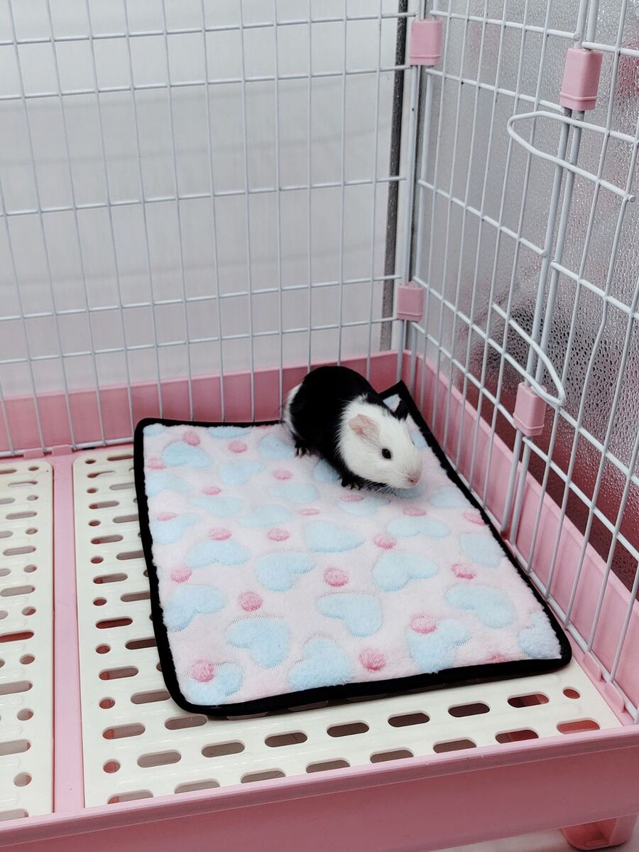 Alfombra para mascota con estampado de corazón pequeño - Multicolor - Ver 1