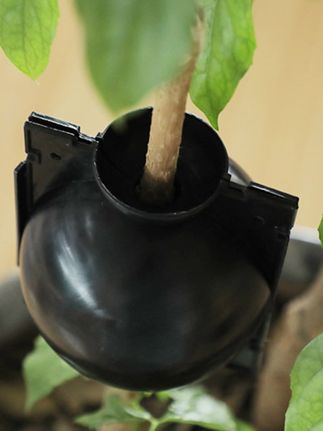 1pc Random Color Rooting Device Ball - Multicolor - View 1