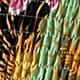 Multicolor