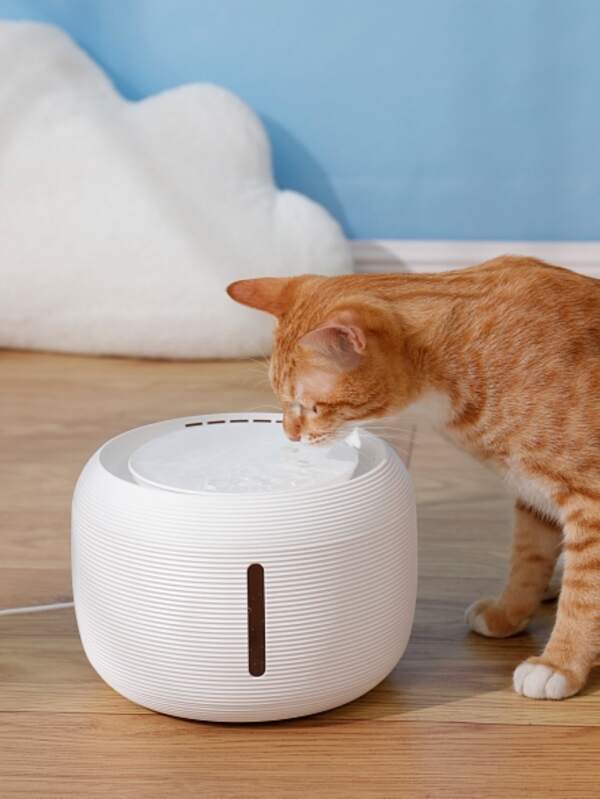 Automatic Pet Water Fountain for Sale Australia New Collection Online