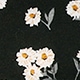Nhiều màu
