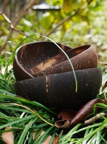 1 pieza Bol coco con concha - Café integral - Ver 6