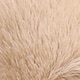 Caqui