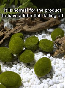 6pcs Artificial Moss Stone - Green - View 4