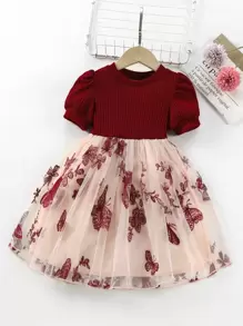 SHEIN Glamorique Kids Young Girl Butterfly & Floral Embroidered Mesh Hem Dress - Multicolor - View 1
