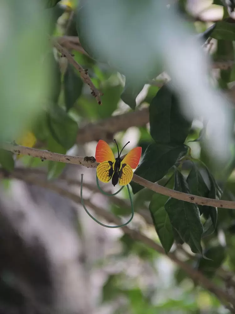 Lote 24 Estacas Decorativas De Mariposas Y Abejas 3D Para Jardín – Colores Surtidos, PVC Resistente Al Agua Y Al Sol, Fáciles De Clavar