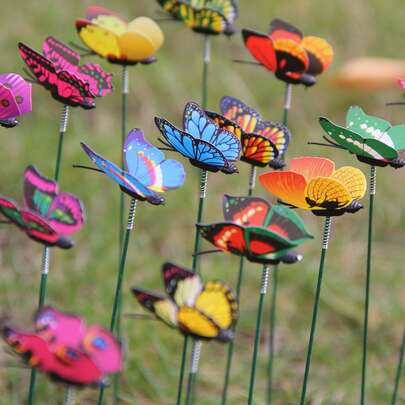 Bộ ngẫu nhiên gồm 5/10/20 cành giâm cây trồng trong vườn bướm nhỏ 4cm