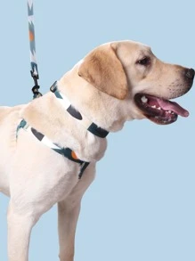 Supet 1 Set Geometric Color Block Pet Chest And Back Dog Leash With Anti-escape Collar, 3pcs/set For Outdoor Walking