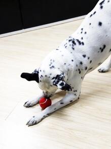 1入組球形設計寵物追逐玩具