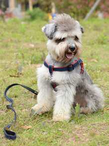 牛仔胸衣和無背心上衣套裝 - 彩色 - 查看 2