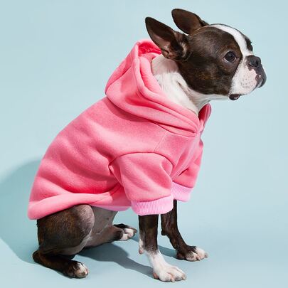 PETSIN Plain Pet Hoodie – Warm And Comfortable For Spring, Autumn, Winter, And Cool Summer Nights; Ideal For Daily Walks, Indoor Relaxation, Outdoor Adventures, Travel, Holiday Gatherings, Festive Photo Shoots; Provides Extra Warmth And Stylish Protection For Your Pet