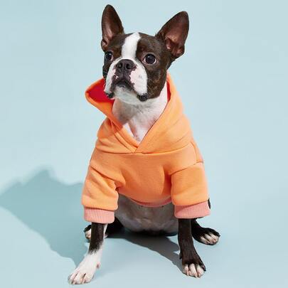 PETSIN 纯色宠物连帽衫 - 百搭舒适，适合秋季、冬季和早春；适合日常穿着、户外探险、室内休闲、家庭出游、节日聚会、生日派对和休闲照片；采用简单的纯色，确保为您的宠物带来永恒的风格和温暖。