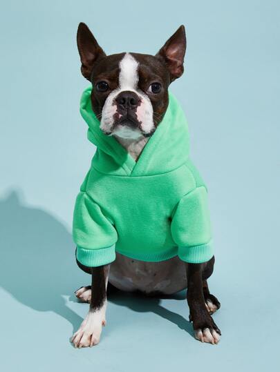 PETSIN 1pc Solid Color Pet Hoodie - Warm And Cozy For Autumn, Winter, And Early Spring; Ideal For Daily Wear, Outdoor Walks, Indoor Lounging, Family Outings, Holiday Celebrations, Birthday Parties, Festive Events, And Stylish Photo Shoots; Features Classic Solid Color Design, Offering Comfort And Timeless Fashion For Your Pet.