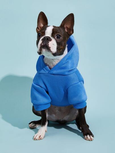 PETSIN 1pc Solid Color Pet Hoodie – Cozy All-Season Wear For Spring, Autumn, Winter, And Cool Summer Nights; Ideal For Daily Walks, Outdoor Adventures, Indoor Lounging, Travel, Holiday Gatherings, And Festive Photoshoots