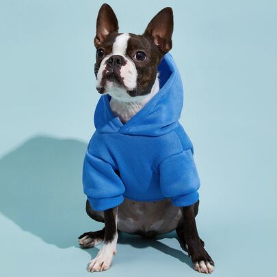 PETSIN 1 件纯色宠物连帽衫 - 适合春、秋、冬和凉爽夏夜的舒适四季穿着；非常适合日常散步、户外探险、室内休闲、旅行、节日聚会和节日拍摄