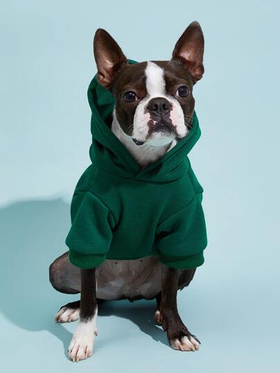 PETSIN Solid Color Pet Hoodie – Comfortable All-Season Wear For Spring, Summer, Autumn, And Winter; Ideal For Daily Walks, Indoor Relaxation, Outdoor Activities, Travel, And Holiday Celebrations