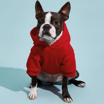 PETSIN 纯色宠物连帽衫 - 舒适时尚的春、夏、秋、冬服装；非常适合日常散步、室内休闲、户外探险、旅行、节日聚会和可爱的照片拍摄
