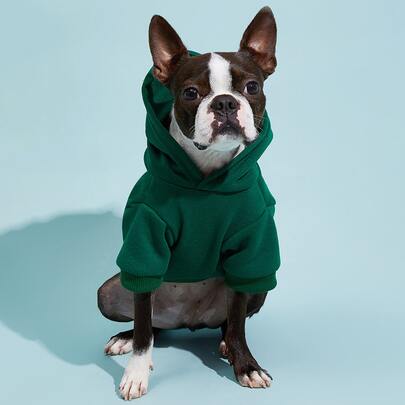 PETSIN Áo hoodie thú cưng màu trơn – Thoải mái mặc được mọi mùa Xuân, Hạ, Thu, Đông; Lý tưởng cho việc đi dạo hàng ngày, thư giãn trong nhà, hoạt động ngoài trời, du lịch và lễ hội