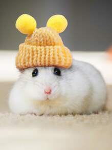1 Piece, Hamster Small Animal Decorative Woolen Hat, Random Color - Multicolor - View 2