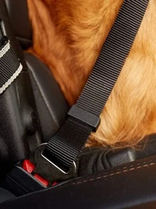 1入組寵物汽車安全帶 - 黑色 - 查看 4