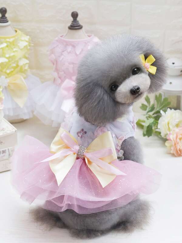 Bow Decor Pet Lace Dress