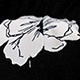 Đen và trắng