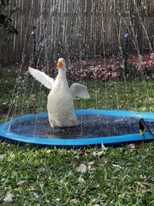 1pc Round Pet Bath Pool For Dog And Cat For Shower - Blue - View 3