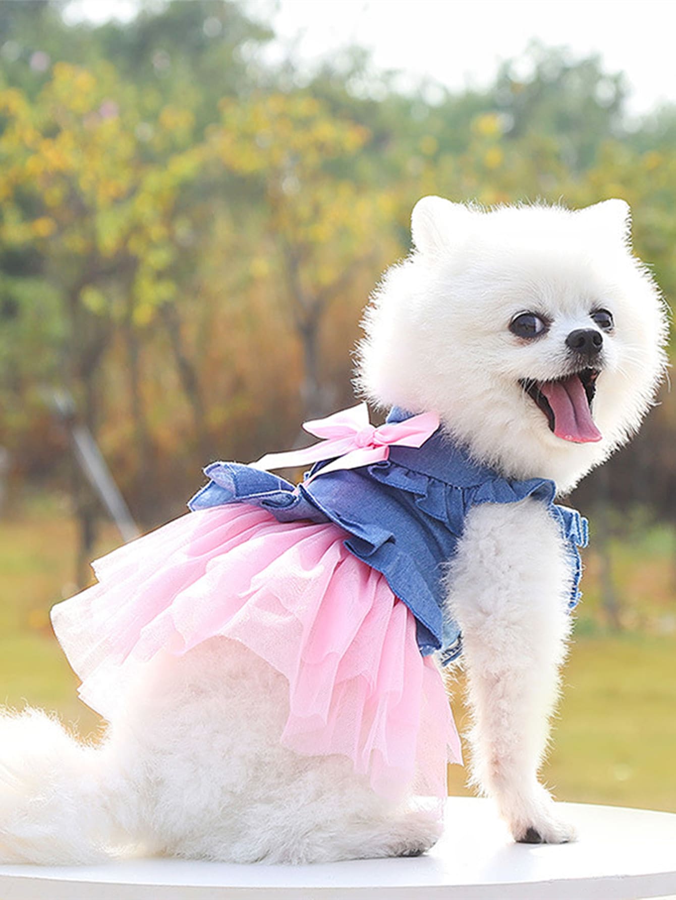 1pc Pet Bow Decorated Denim Gauze Skirt