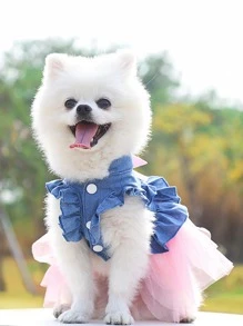 1pc Pet Bow Decorated Denim Gauze Skirt