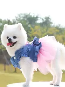 1pc Pet Bow Decorated Denim Gauze Skirt