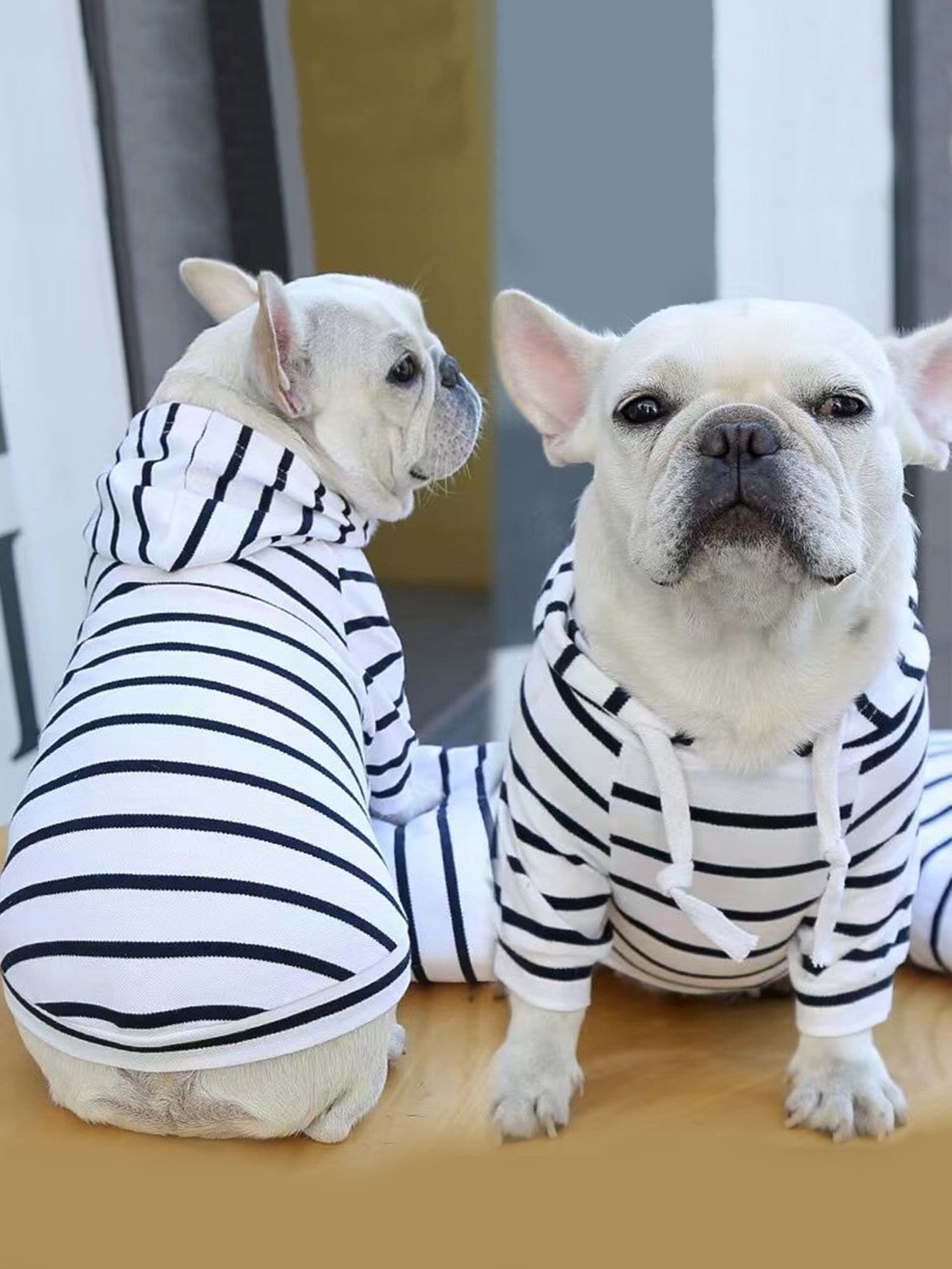 1pc Striped Pet Hoodie - Multicolor - View 1