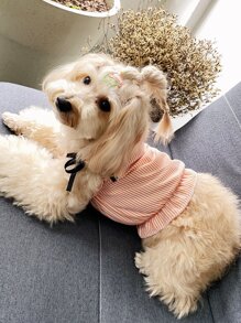 Bể nuôi có sọc - Nhiều màu - Xem 1