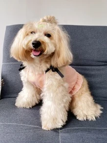 Bể nuôi có sọc - Nhiều màu - Xem 6