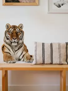 1 套老虎和豹子房间装饰墙贴、贴纸、墙贴花、乙烯基贴花用于家居装饰、春季装饰品让您的家焕然一新、节日装饰贴纸礼物生日毕业 - 彩色 - 查看 6
