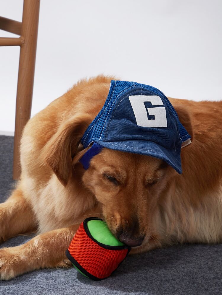 Letter Graphic Pet Baseball Cap - Blue - View 1