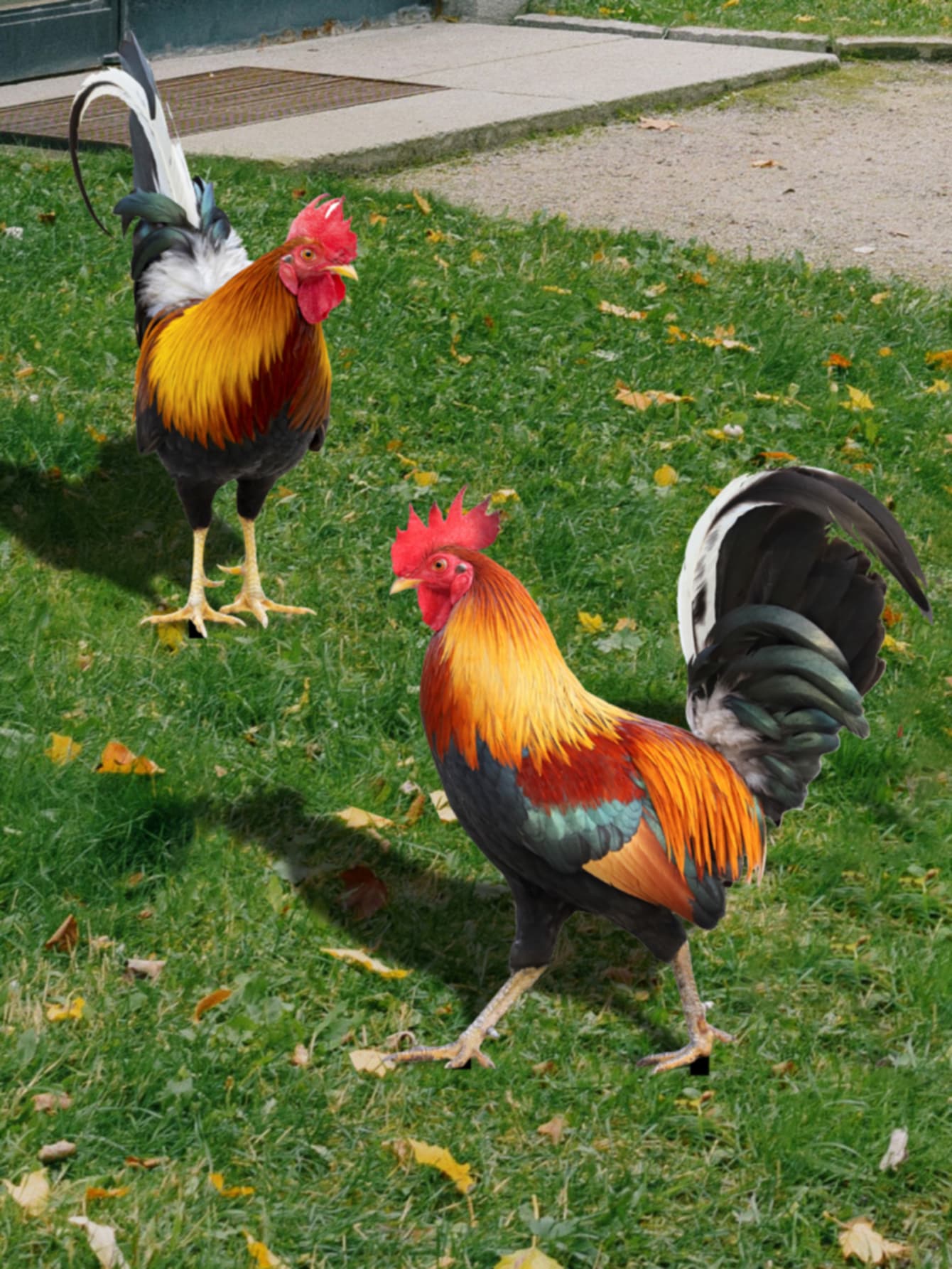 2 piezas Estaca de jardín pollo en forma de decorativo - Multicolor - Ver 1