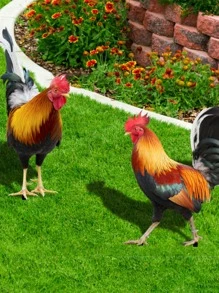 2 piezas Estaca de jardín pollo en forma de decorativo - Multicolor - Ver 6