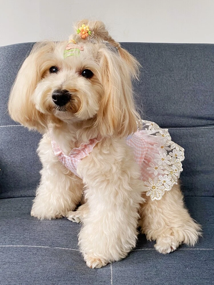 Plaid Print Pet Dress - Baby Pink - View 7
