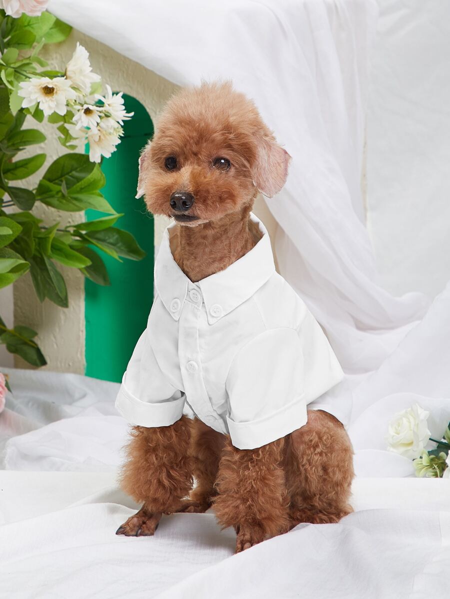 Plain Pet Shirt - White - View 1