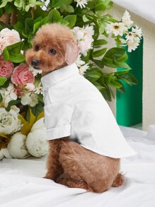 Plain Pet Shirt - White - View 7