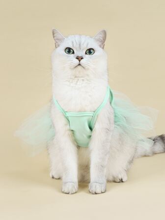 1入組素色寵物連衣裙