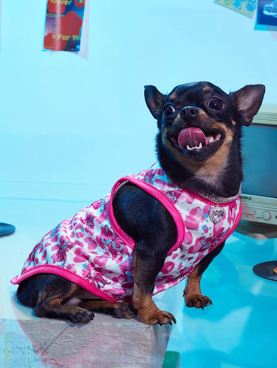 PETSIN Y2K Butterfly Pattern Pet Tank