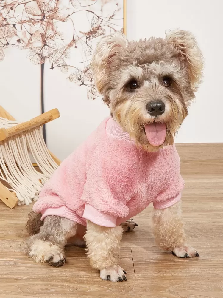 プレーン プルッシュ ペットスウェットシャツ - ピンク - 見る 1